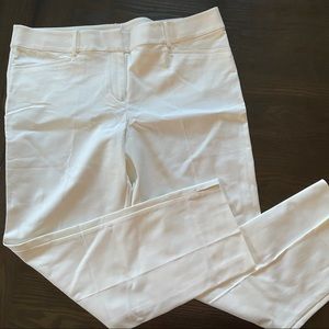 LOFT Riviera Pant Size 14T